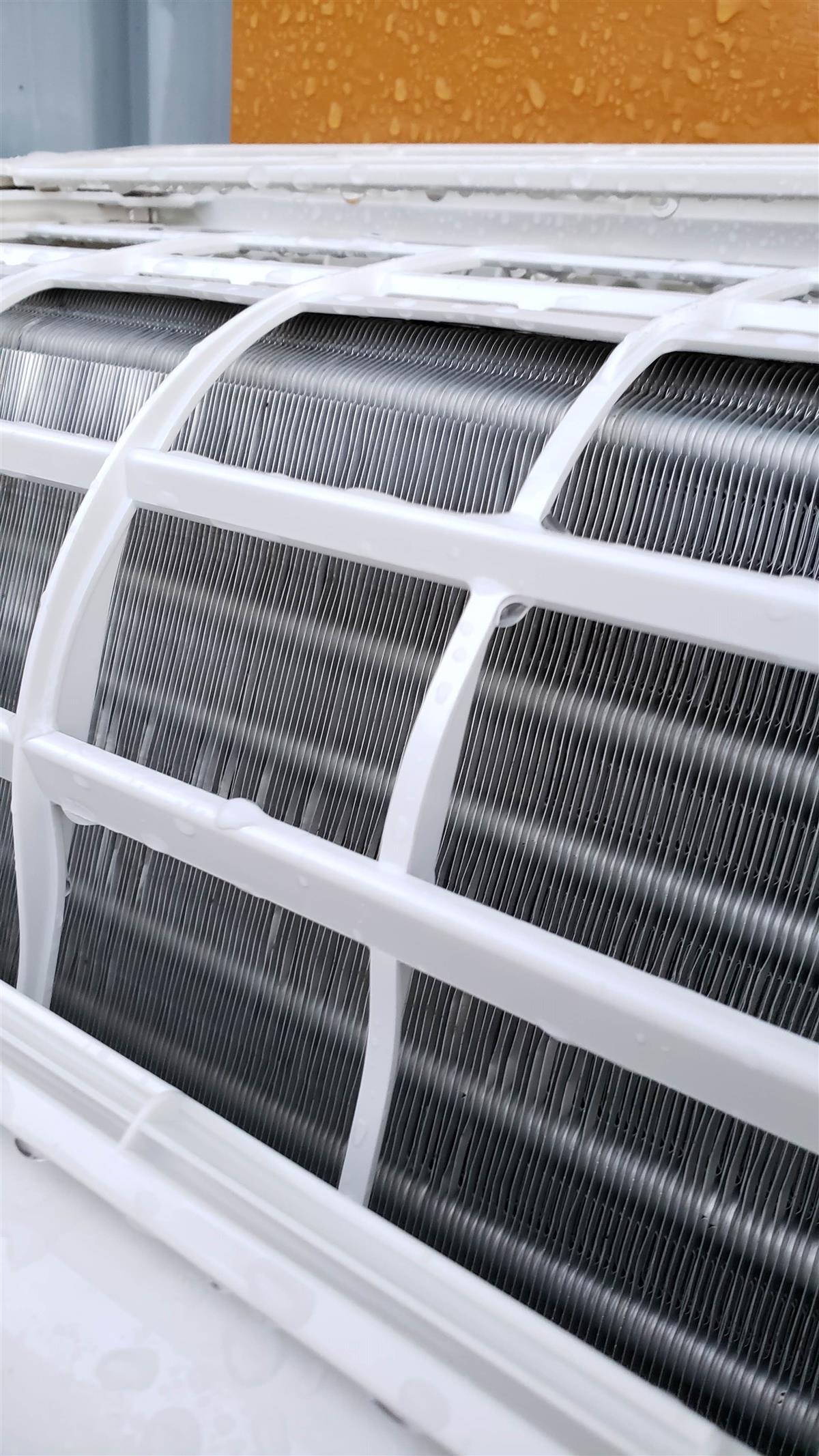 内部(クリーニング後②)