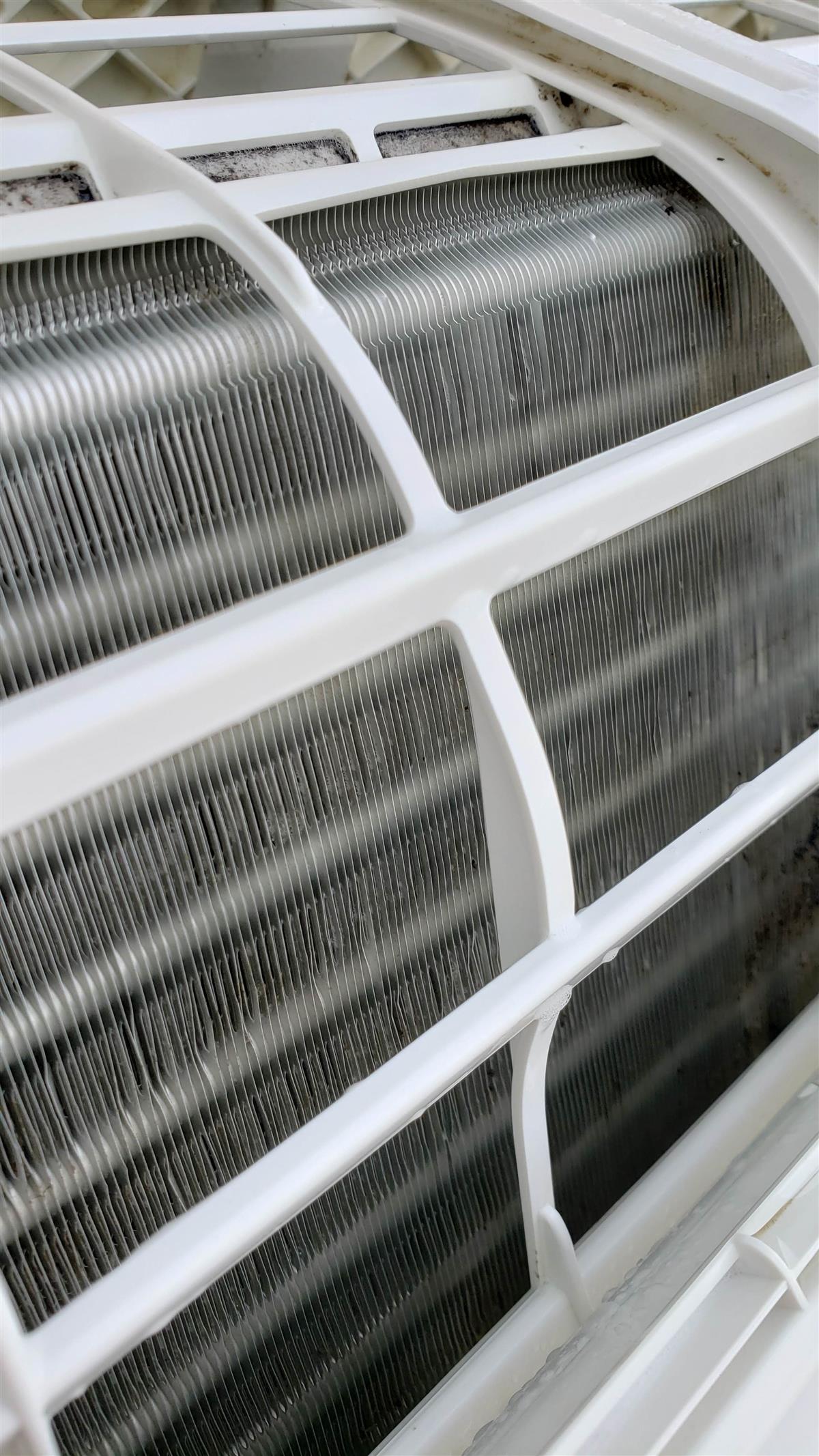 内部(クリーニング後)